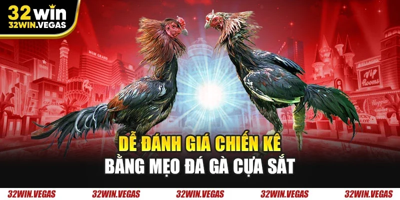 Dễ đánh giá chiến kê bằng mẹo đá gà cựa sắt